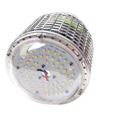 40W LED Eye Bulb