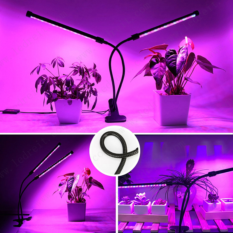 led grow